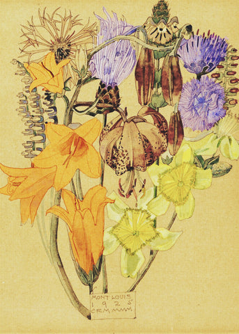 Mount Louis Bouquet of Flowers Inspired by Charles Rennie Mackintosh Counted Cross Stitch Pattern