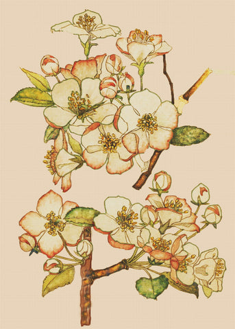 Botanical Crab Apples Inspired by Charles Rennie Mackintosh Counted Cross Stitch Pattern