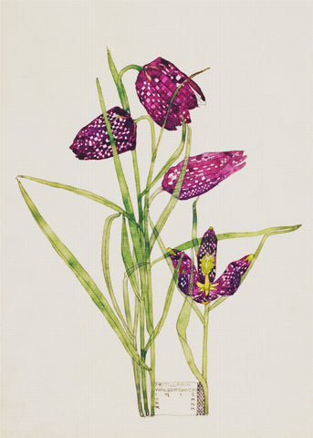 Botanical Fritillaria Flowers Inspired by Charles Rennie Mackintosh Counted Cross Stitch Pattern