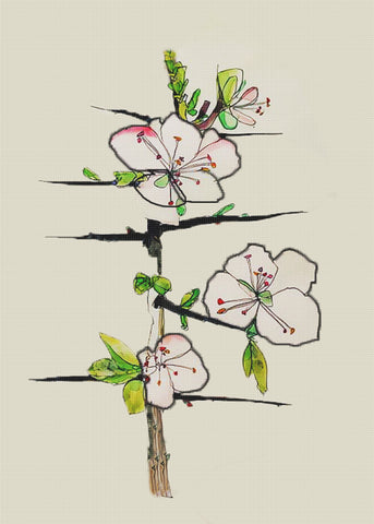 Botanical Blackthorne Flowers Inspired by Charles Rennie Mackintosh Counted Cross Stitch Pattern