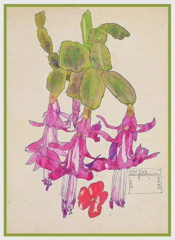 Charles Rennie Mackintosh's Flowering Cactus Counted Cross Stitch Pattern