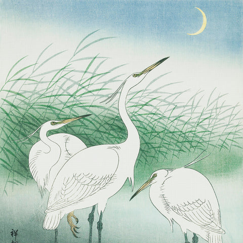 Japanese Artist Ohara (Koson) Shoson's 3 Herons Shallow Water Counted Cross Stitch Pattern DIGITAL DOWNLOAD