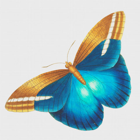 Colorful Teal and Tan Butterfly Counted Cross Stitch Pattern DIGITAL D ...