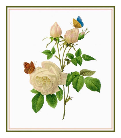 Tea Rose Flowers Inspired by Pierre-Joseph Redoute Counted Cross Stitch Pattern DIGITAL DOWNLOAD