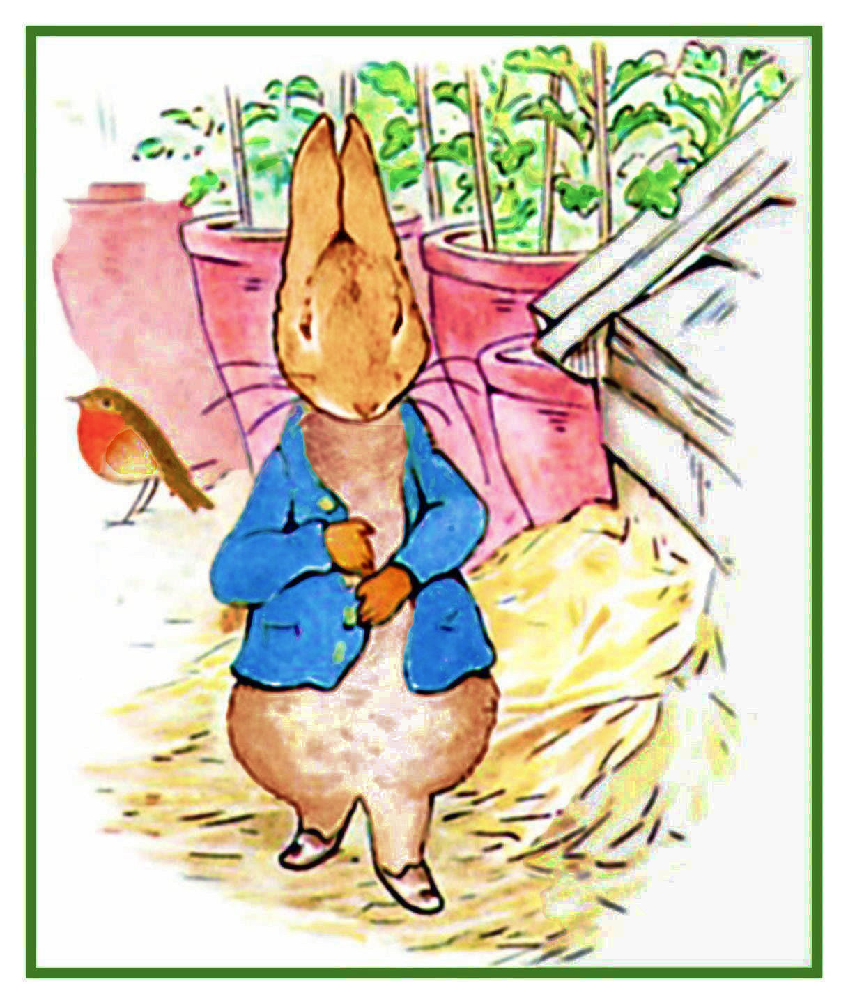 Peter Rabbit Takes a Walk inspired by Beatrix Potter Counted Cross Sti ...